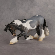 Neil OOAK EFCM Irish Cob by Ellen Robbins & Carissa Mathews Ro326