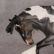 Neil OOAK EFCM Irish Cob by Ellen Robbins & Carissa Mathews Ro326