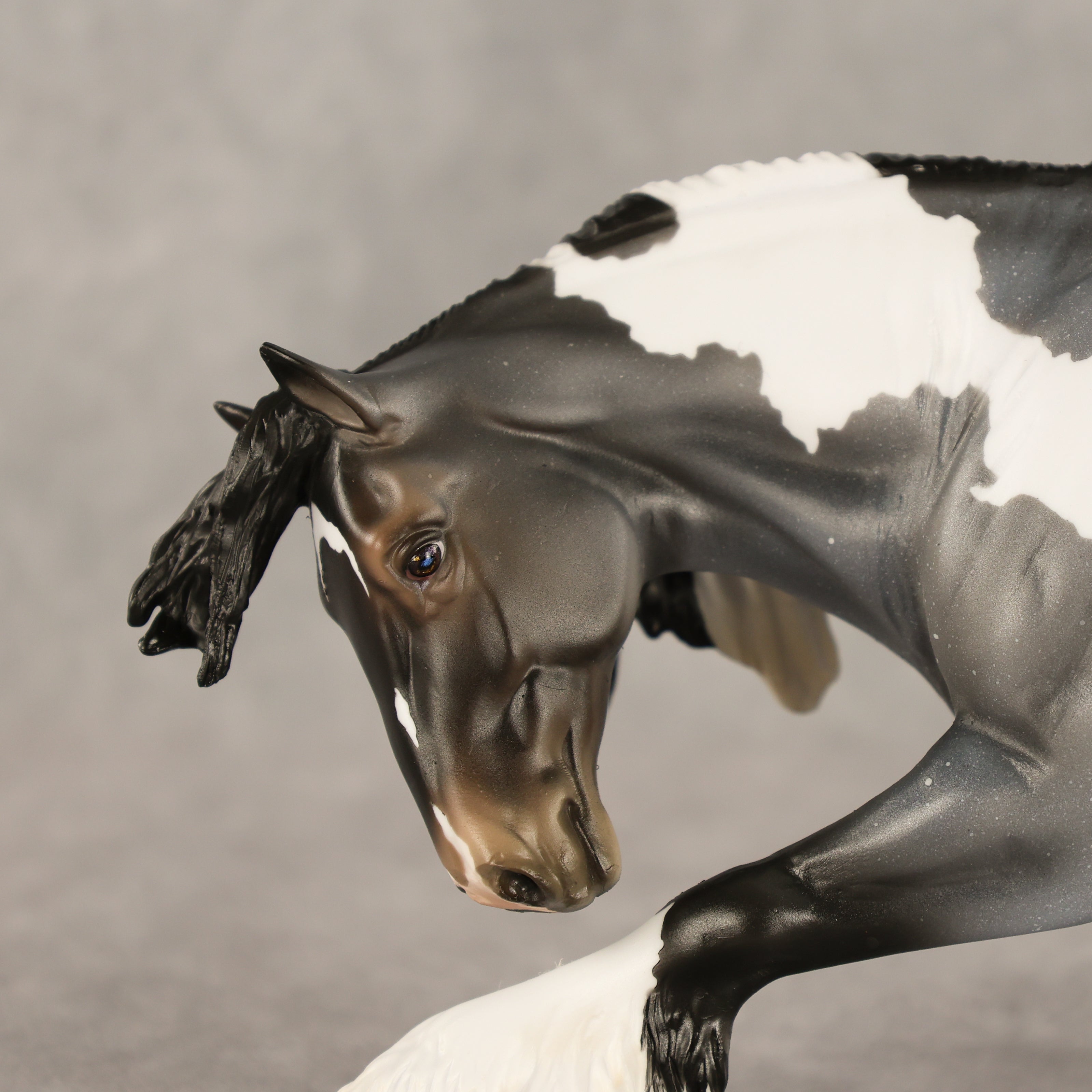 Neil OOAK EFCM Irish Cob by Ellen Robbins & Carissa Mathews Ro326