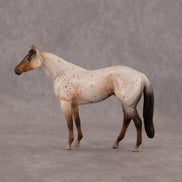 Neopolitan OOAK Chip Stock Horse by Madi Wiseman EQ26
