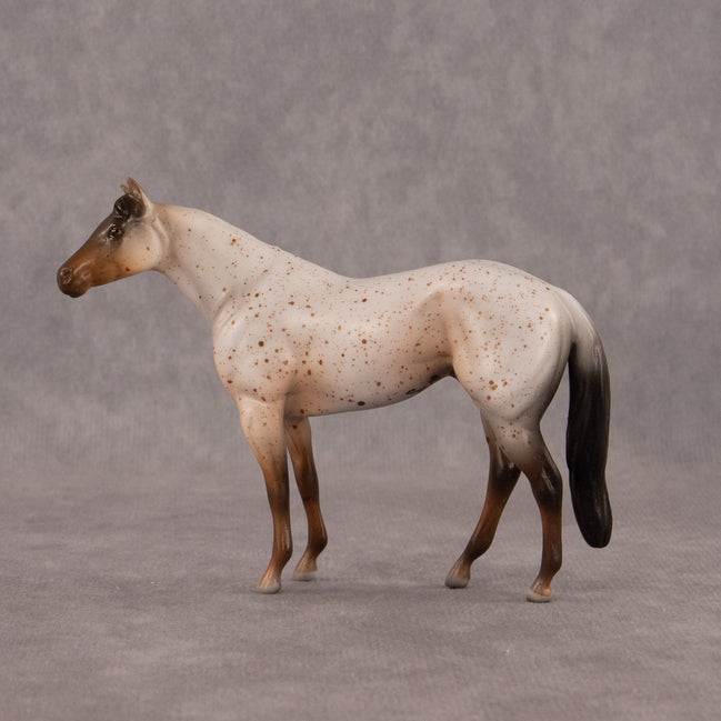 Neopolitan OOAK Chip Stock Horse by Madi Wiseman EQ26