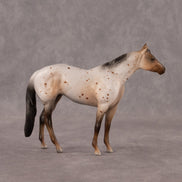 Neopolitan OOAK Chip Stock Horse by Madi Wiseman EQ26