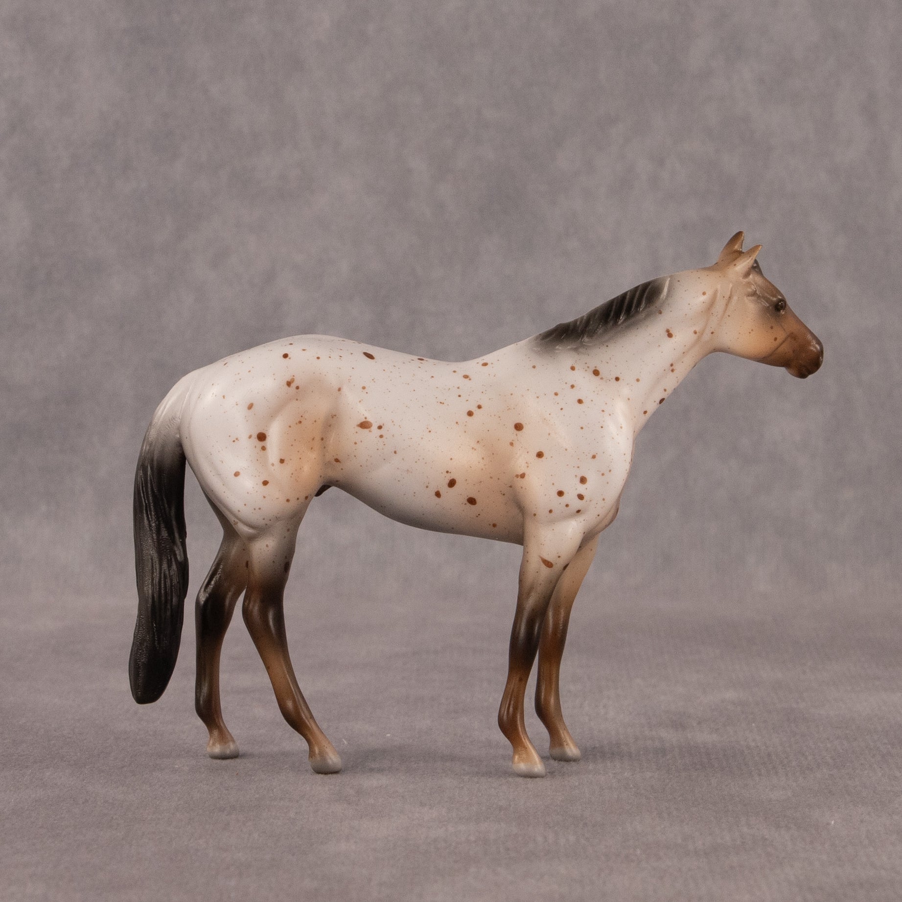 Neopolitan OOAK Chip Stock Horse by Madi Wiseman EQ26