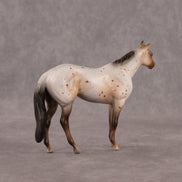 Neopolitan OOAK Chip Stock Horse by Madi Wiseman EQ26