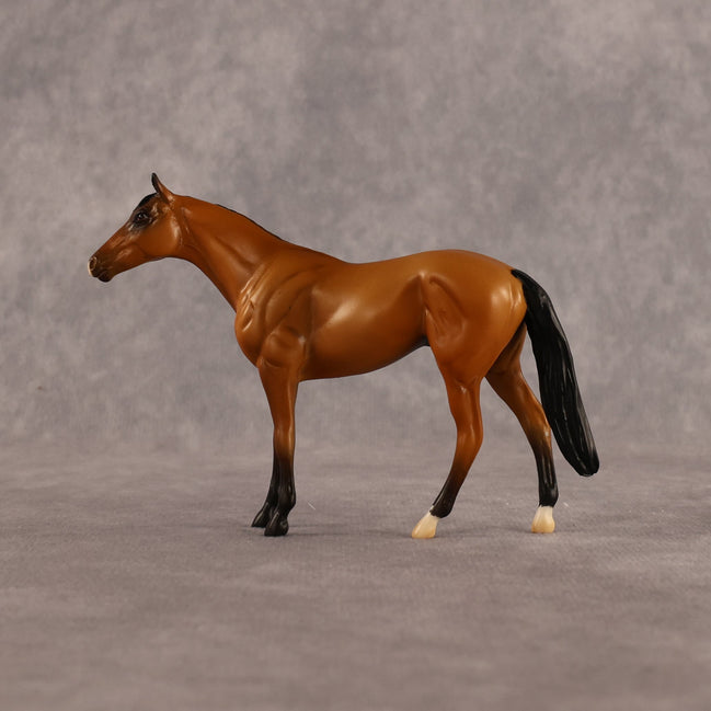 Never Learned OOAK Chip Thoroughbred by Alex Fortman LHS26
