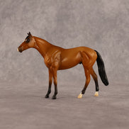 Never Learned OOAK Chip Thoroughbred by Alex Fortman LHS26