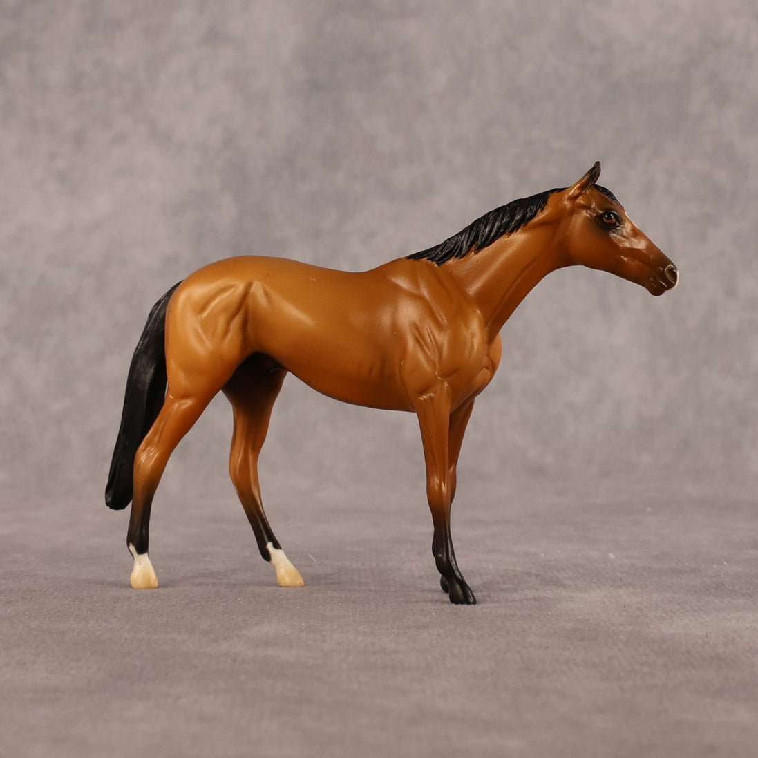 Never Learned OOAK Chip Thoroughbred by Alex Fortman LHS26