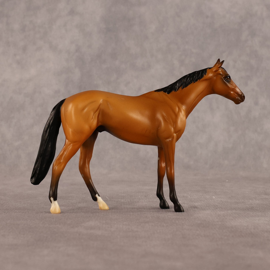 Never Learned OOAK Chip Thoroughbred by Alex Fortman LHS26