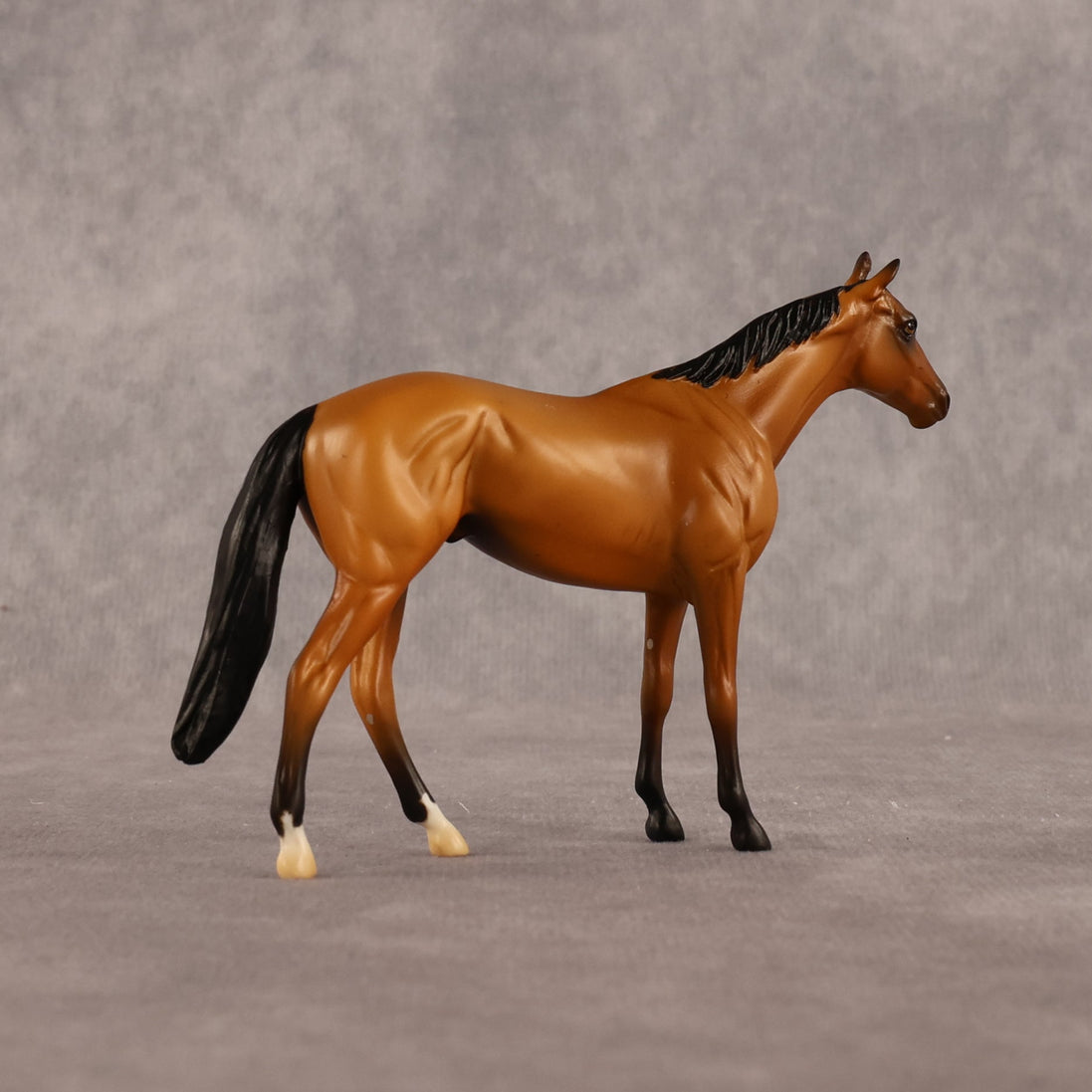 Never Learned OOAK Chip Thoroughbred by Alex Fortman LHS26