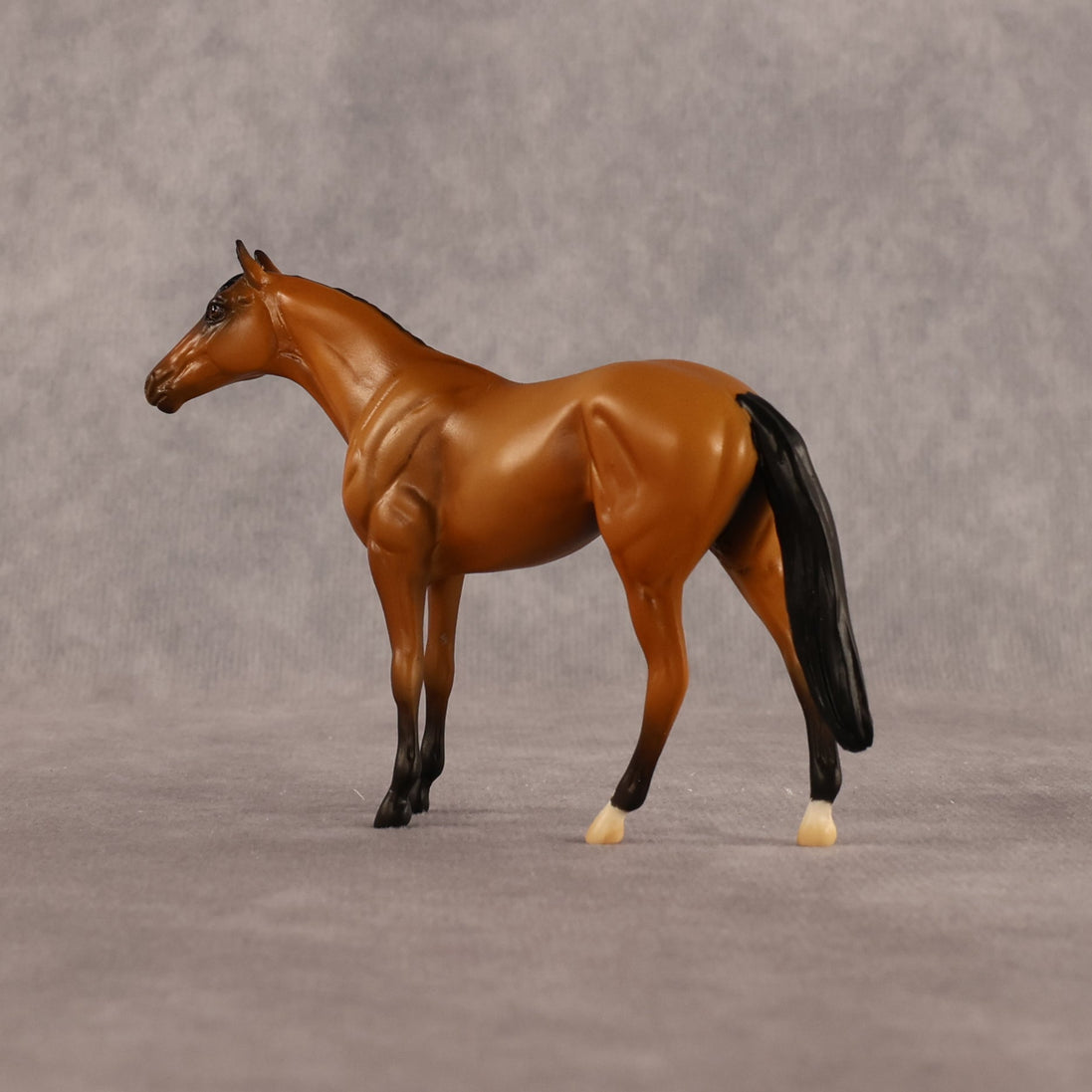 Never Learned OOAK Chip Thoroughbred by Alex Fortman LHS26