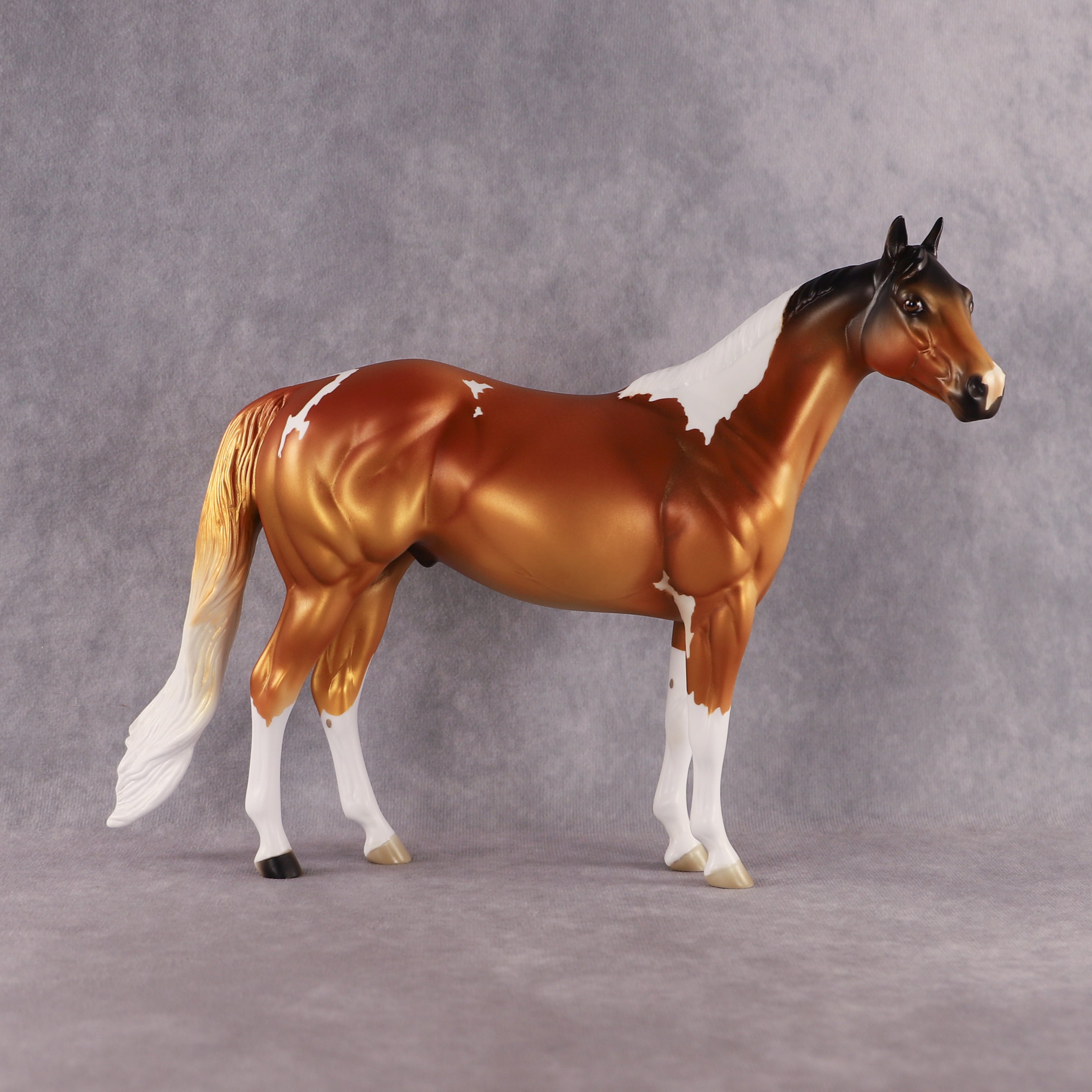 Never Not Gold OOAK Ideal Stock Horse by Alex Fortman EQ26
