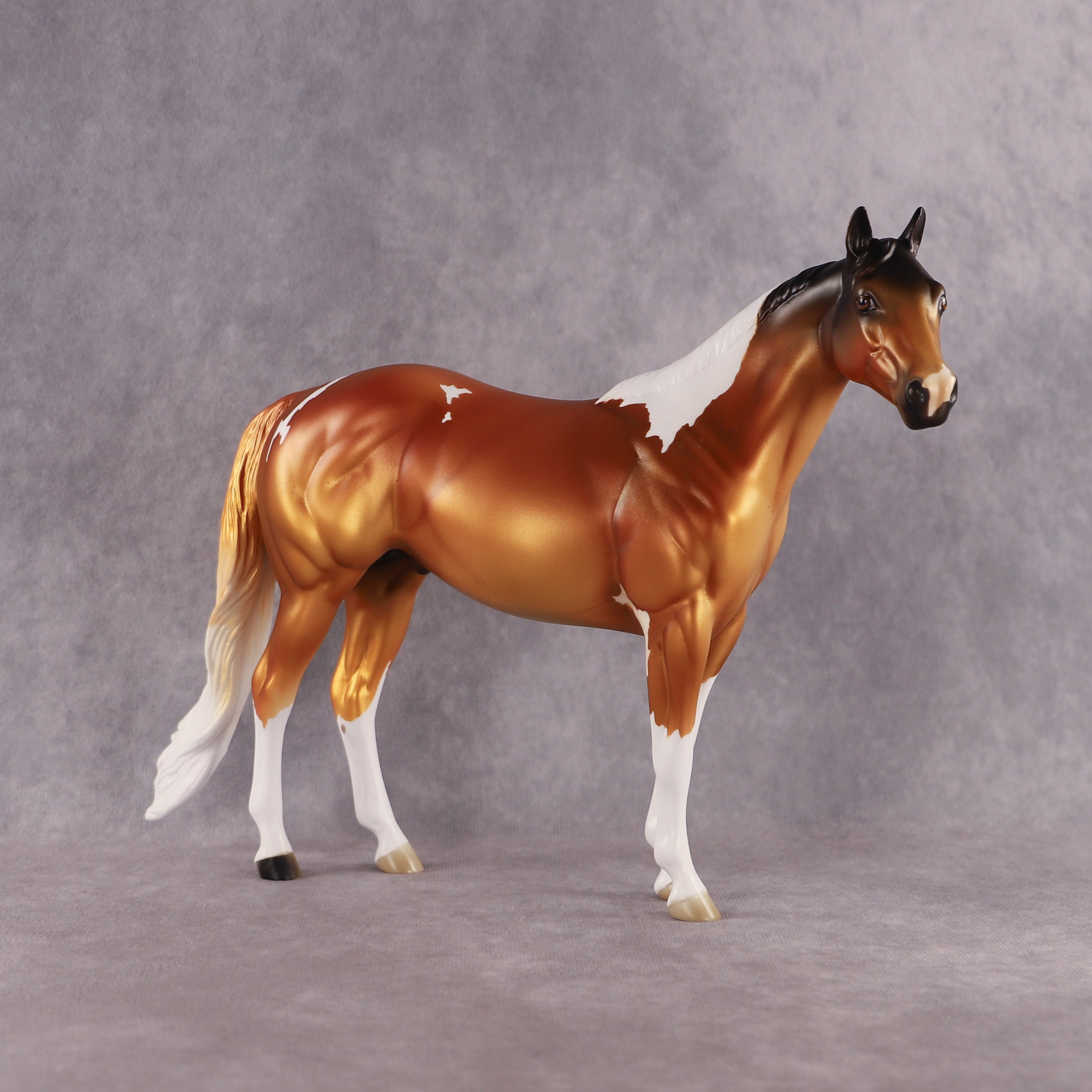 Never Not Gold OOAK Ideal Stock Horse by Alex Fortman EQ26