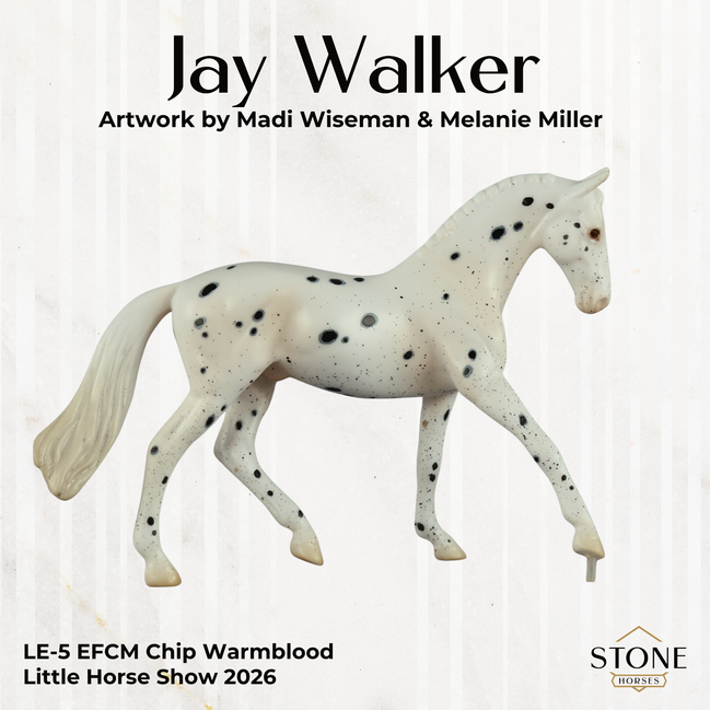 Jay Walker LE-5 EFCM Chip Warmblood by Madi Wiseman LHS26
