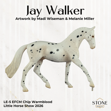 Jay Walker LE-5 EFCM Chip Warmblood by Madi Wiseman LHS26