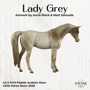 Lady Grey LE-5 Pebble Arabian Mare by Anna Rieck LHS26