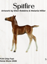 Spitfire LE-10 Chip Foal by Ellen Robbins LHS26