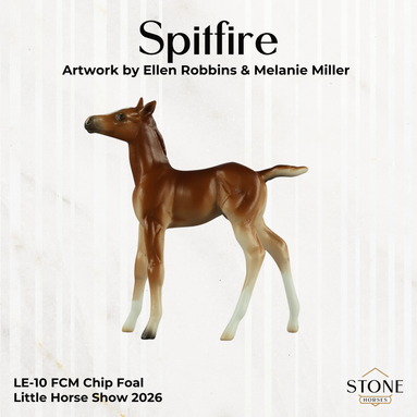 Spitfire LE-10 FCM Chip Foal by Ellen Robbins LHS26