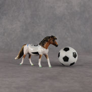 New Zealand OOAK Chip Pony by Enrique Duarte SCD26
