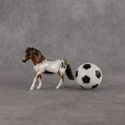 New Zealand OOAK Chip Pony by Enrique Duarte SCD26