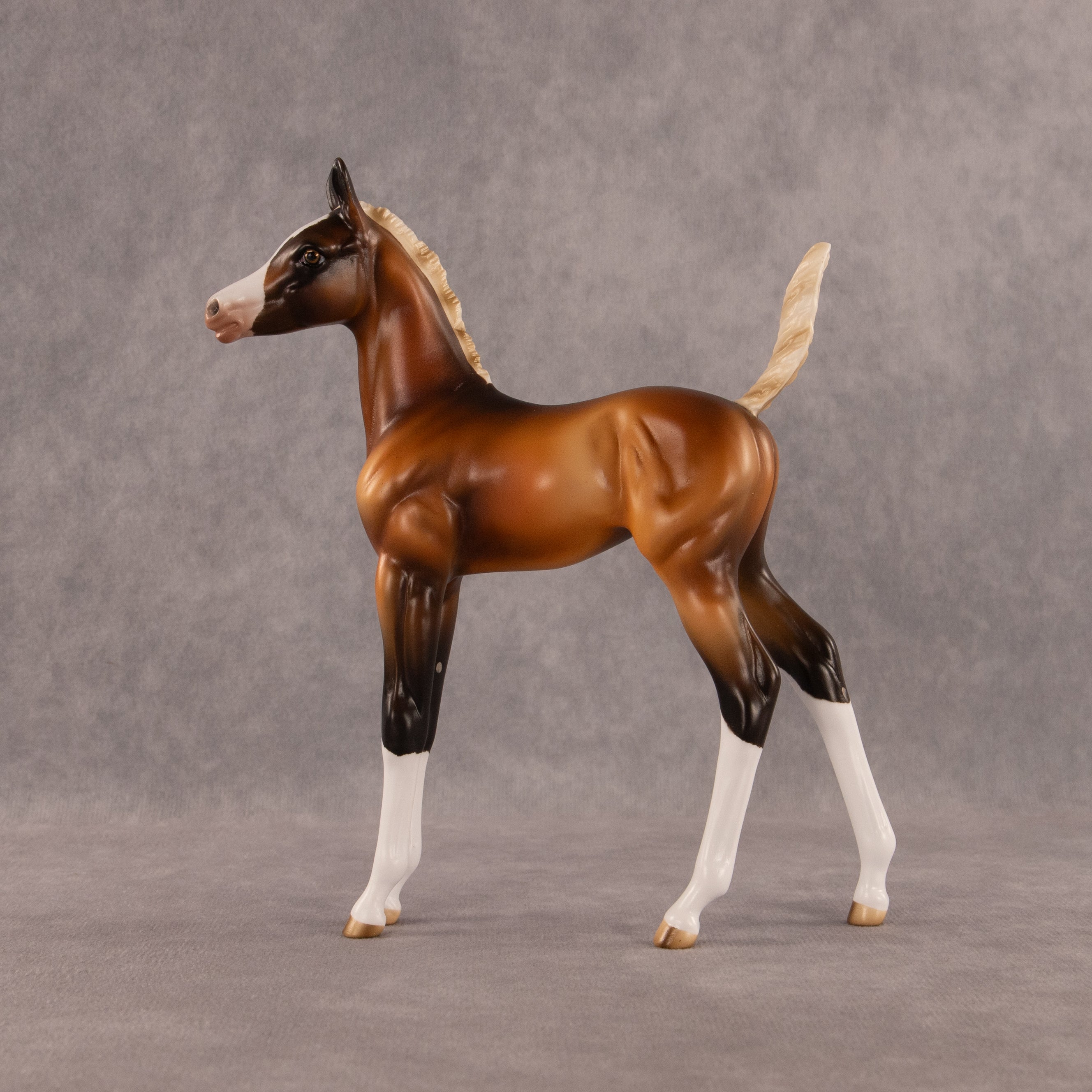 New Beginning OOAK Arabian Foal by Enrique Duarte EQ26