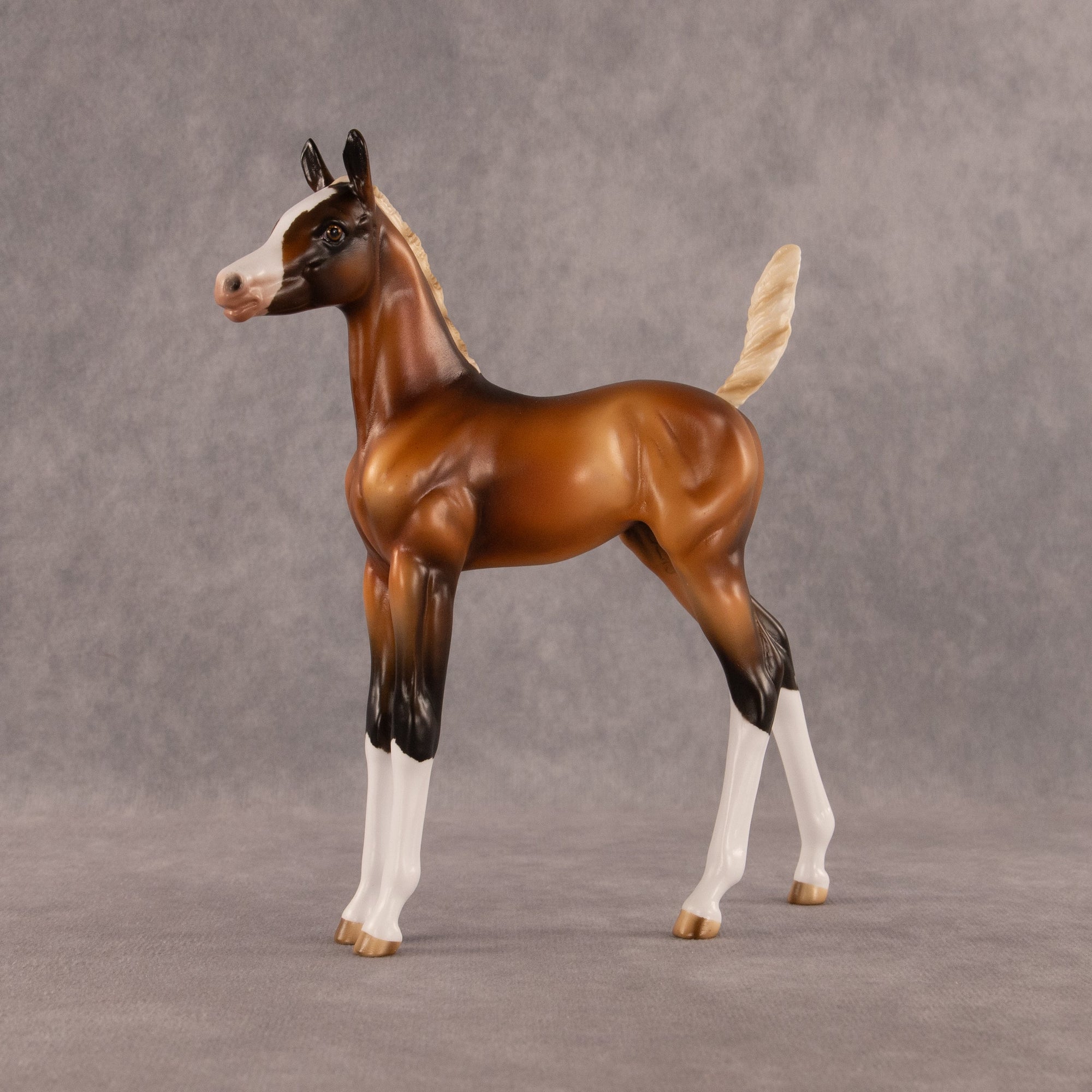 New Beginning OOAK Arabian Foal by Enrique Duarte EQ26