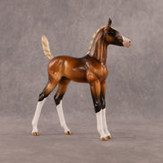 New Beginning OOAK Arabian Foal by Enrique Duarte EQ26