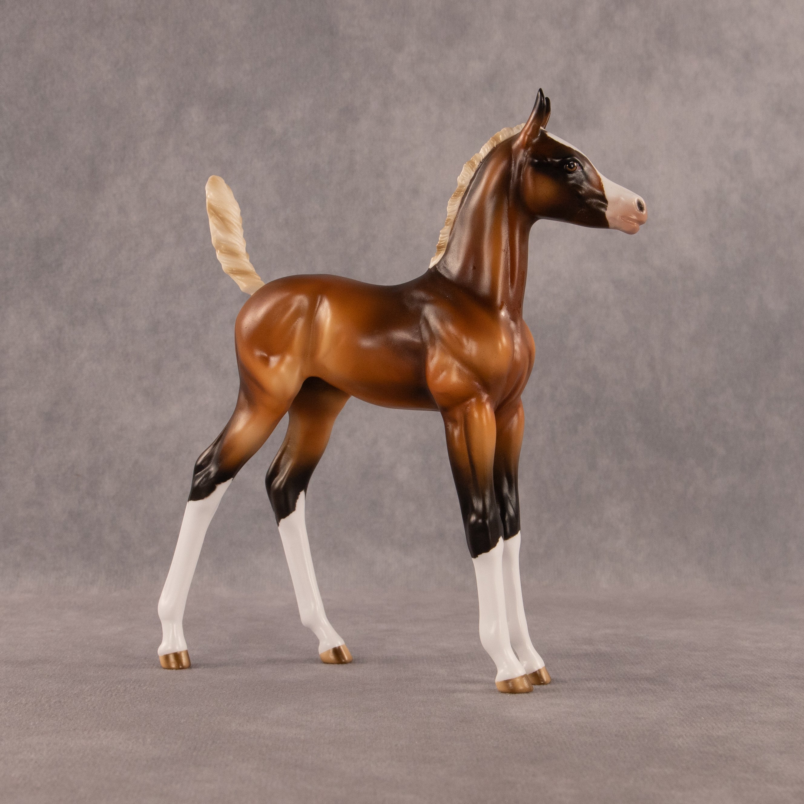 New Beginning OOAK Arabian Foal by Enrique Duarte EQ26