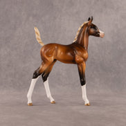New Beginning OOAK Arabian Foal by Enrique Duarte EQ26