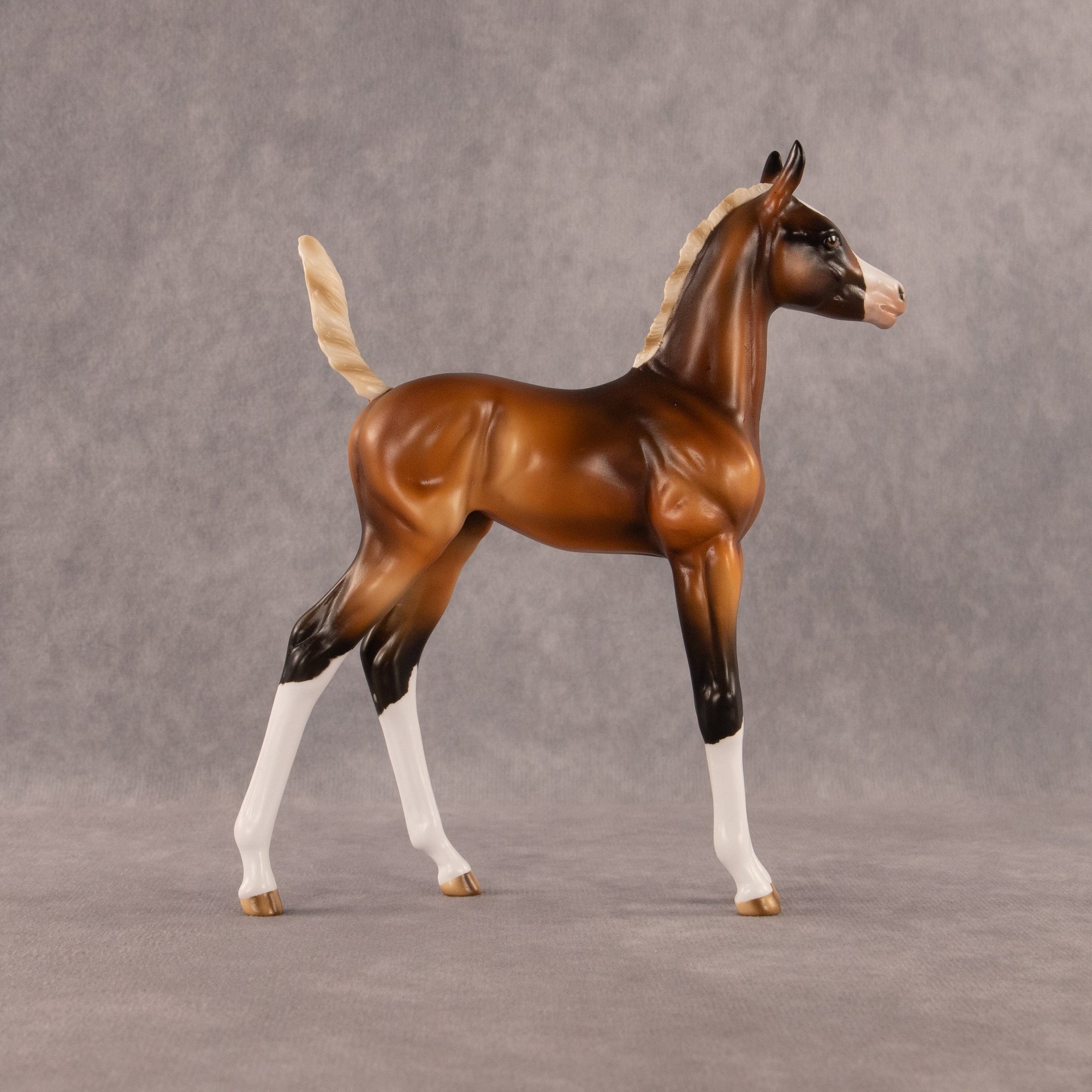New Beginning OOAK Arabian Foal by Enrique Duarte EQ26