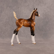 New Beginning OOAK Arabian Foal by Enrique Duarte EQ26