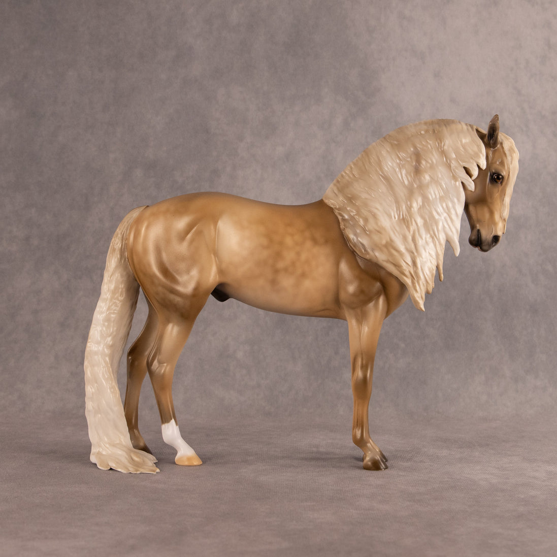 New Kid on the Flock OOAK FCM Andalusian by Julie Keim EQ26