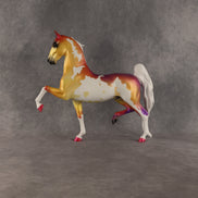 New Wave Heat OOAK Saddlebred by Alex Fortman SHCF26