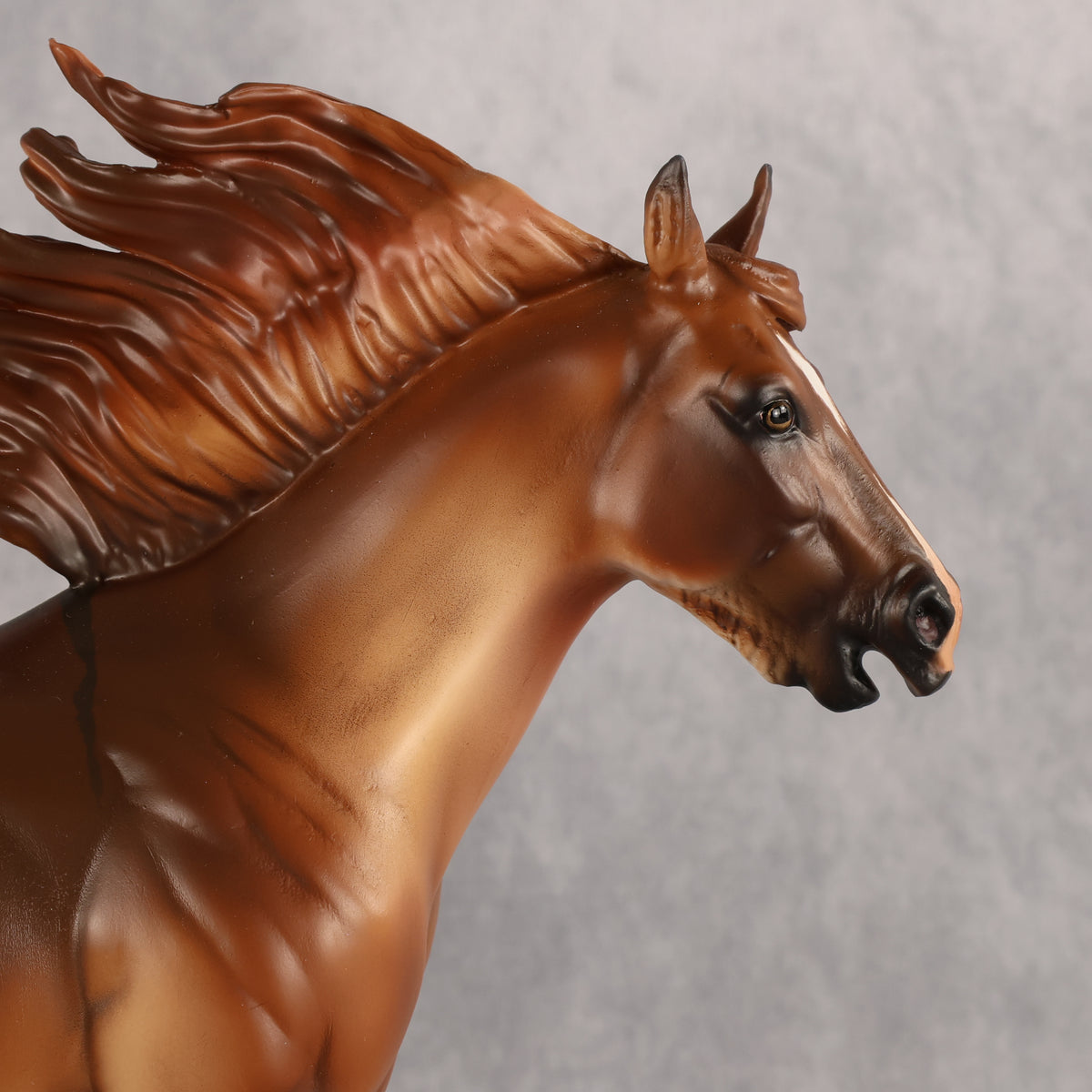 Not Dun Calling OOAK EFCM Ideal Stock Horse by Carly Kudalis Best Offer 9.22.2026
