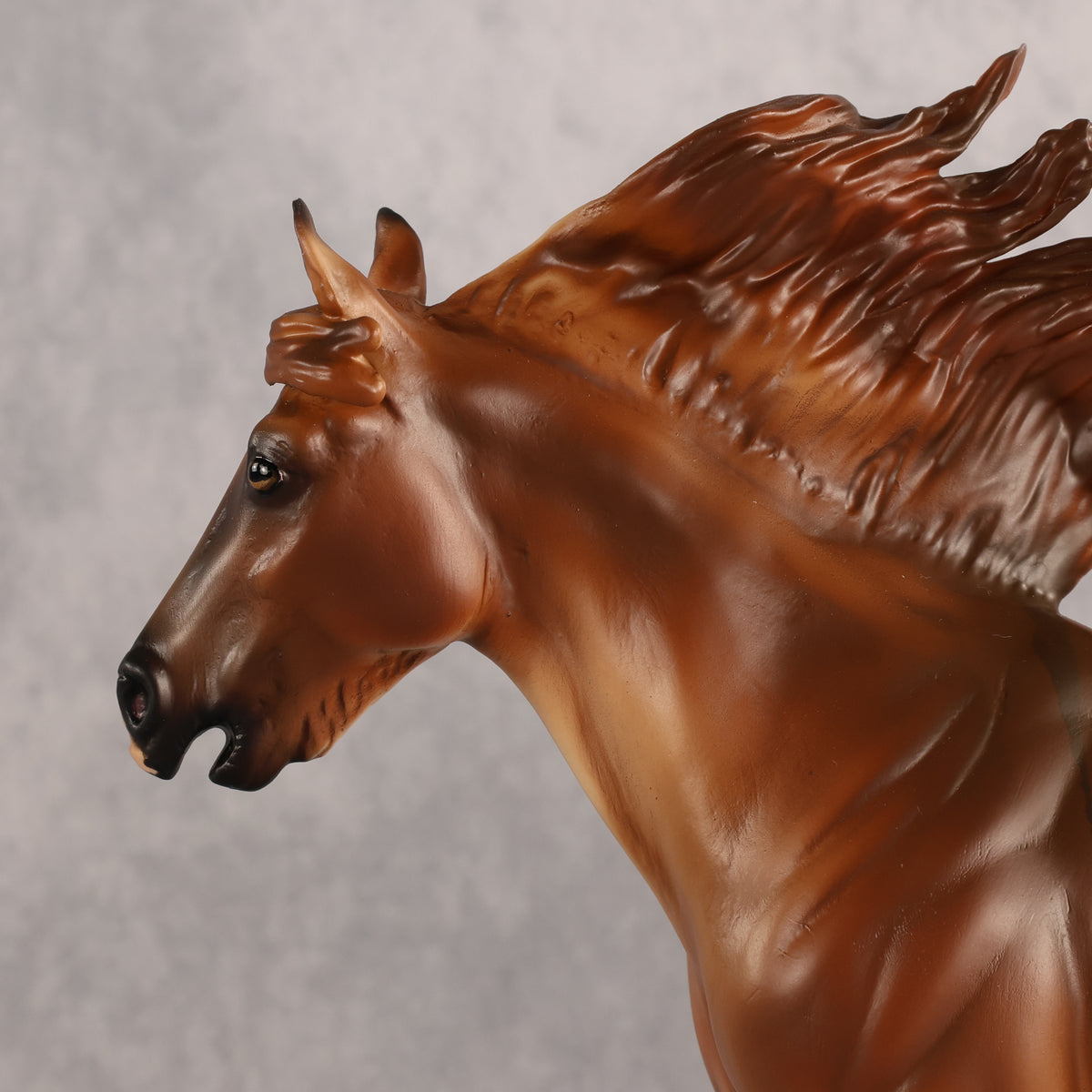 Not Dun Calling OOAK EFCM Ideal Stock Horse by Carly Kudalis Best Offer 9.22.2026