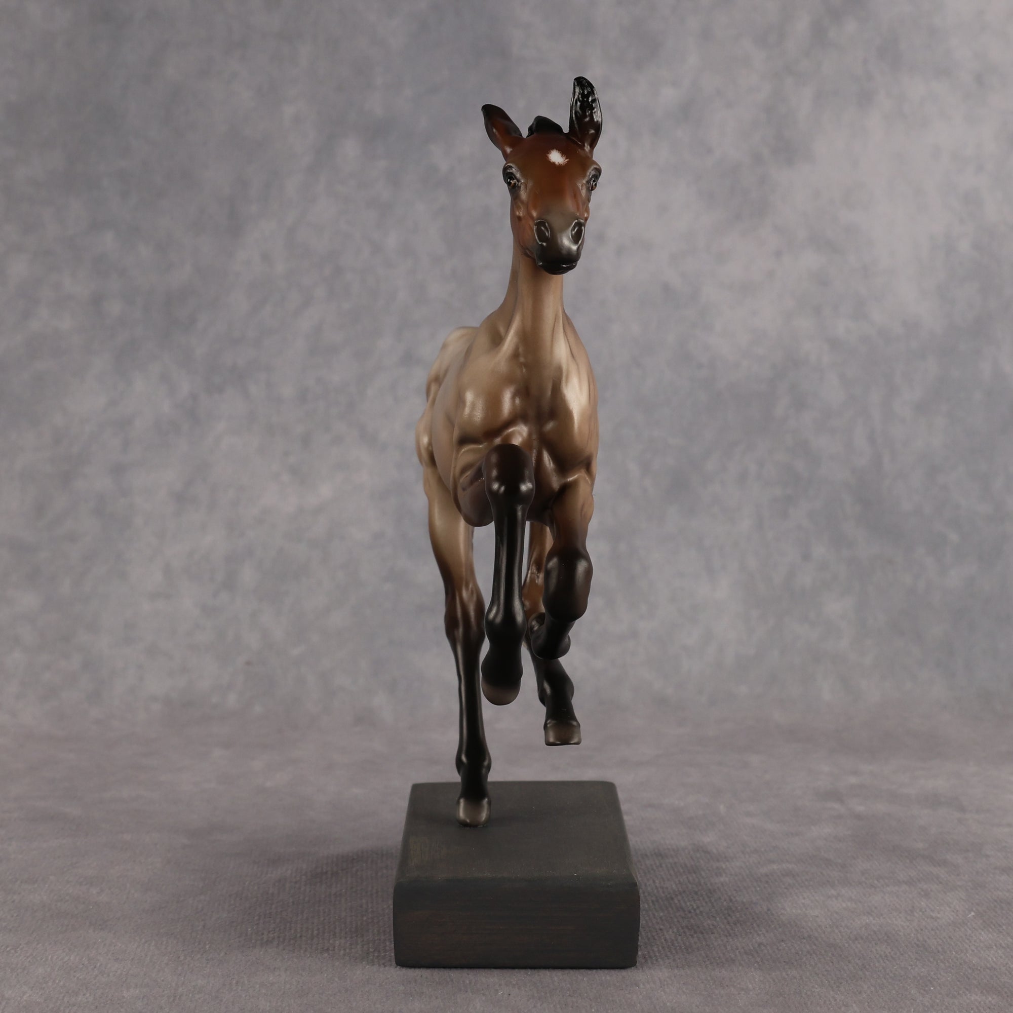 Baby Nova OOAK FCM Pimento by Jess Hamill Best Offer 8.18.2026