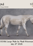 Novi OOAK Large Mule by Madi Wiseman DDOOAKs26