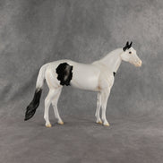 Ocean OOAK Ideal Stock Horse by Madi Wiseman EQ26