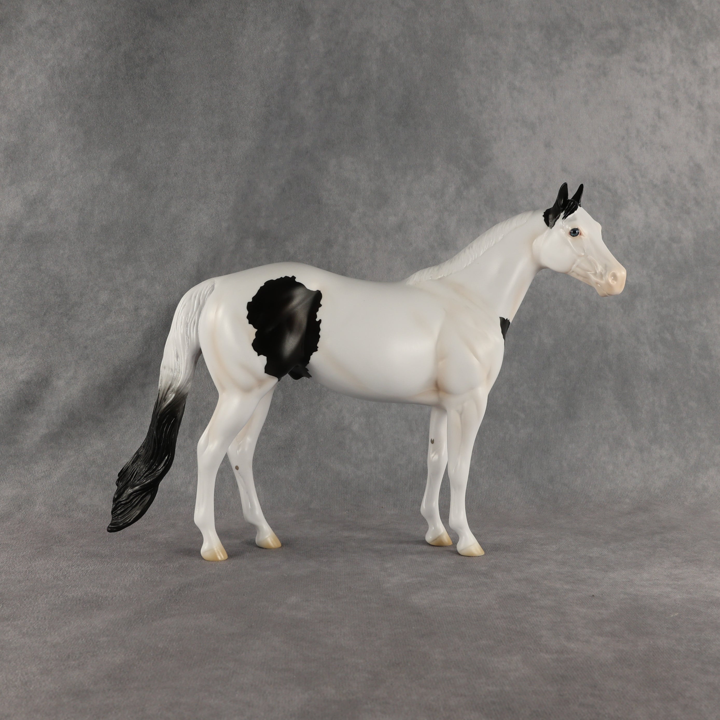 Ocean OOAK Ideal Stock Horse by Madi Wiseman EQ26