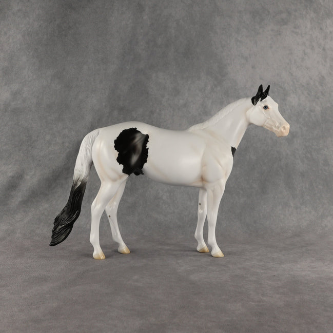 Ocean OOAK Ideal Stock Horse by Madi Wiseman EQ26
