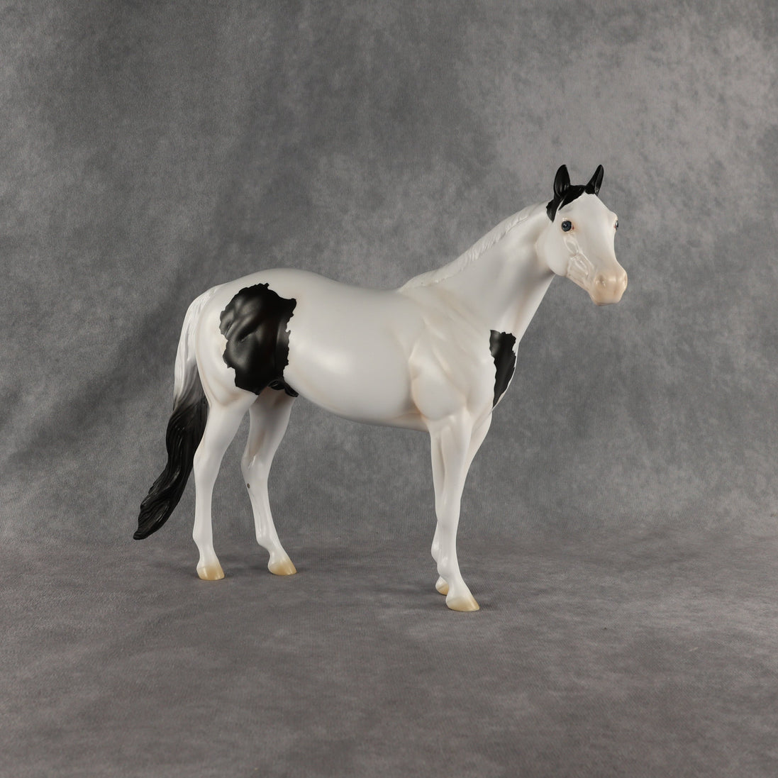 Ocean OOAK Ideal Stock Horse by Madi Wiseman EQ26