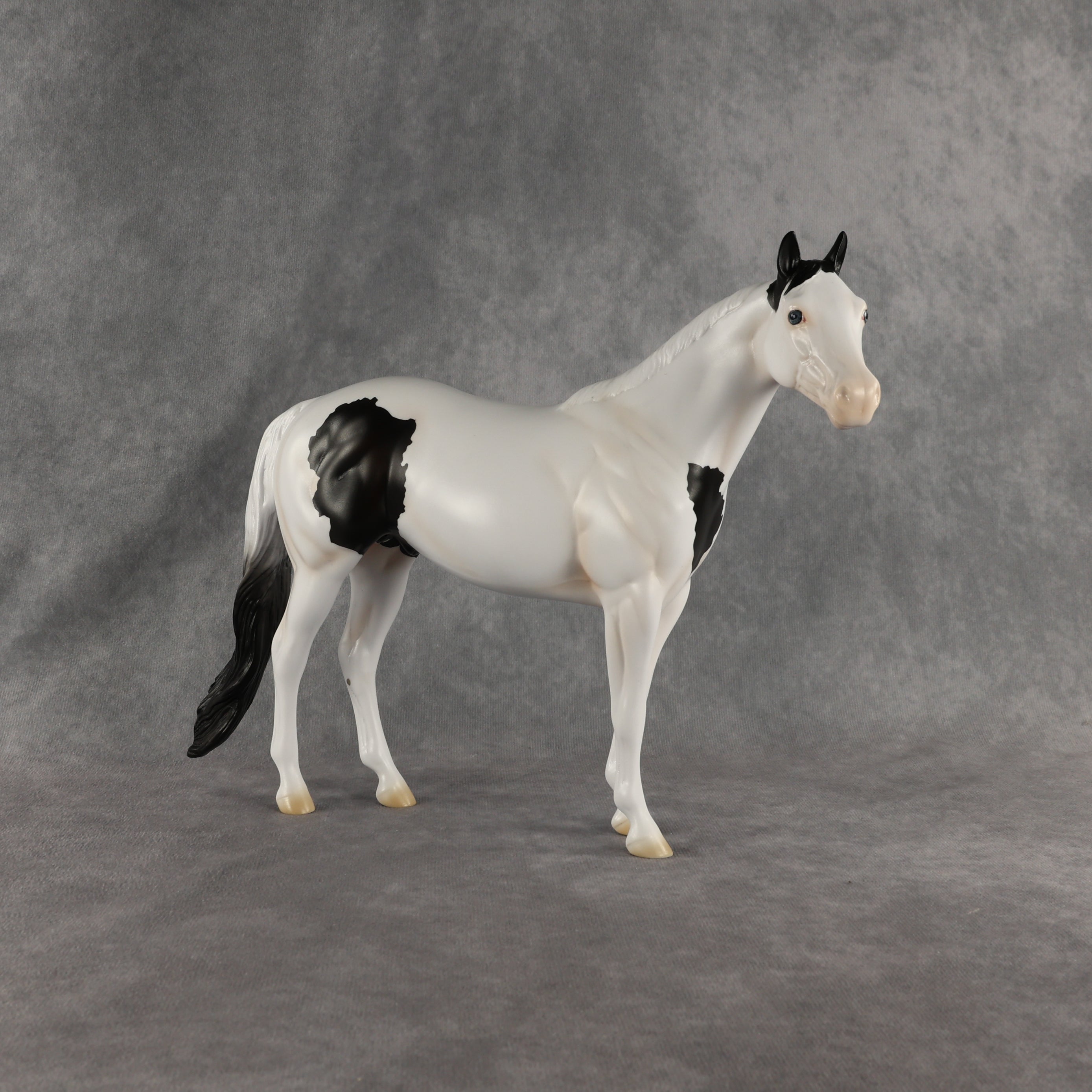 Ocean OOAK Ideal Stock Horse by Madi Wiseman EQ26