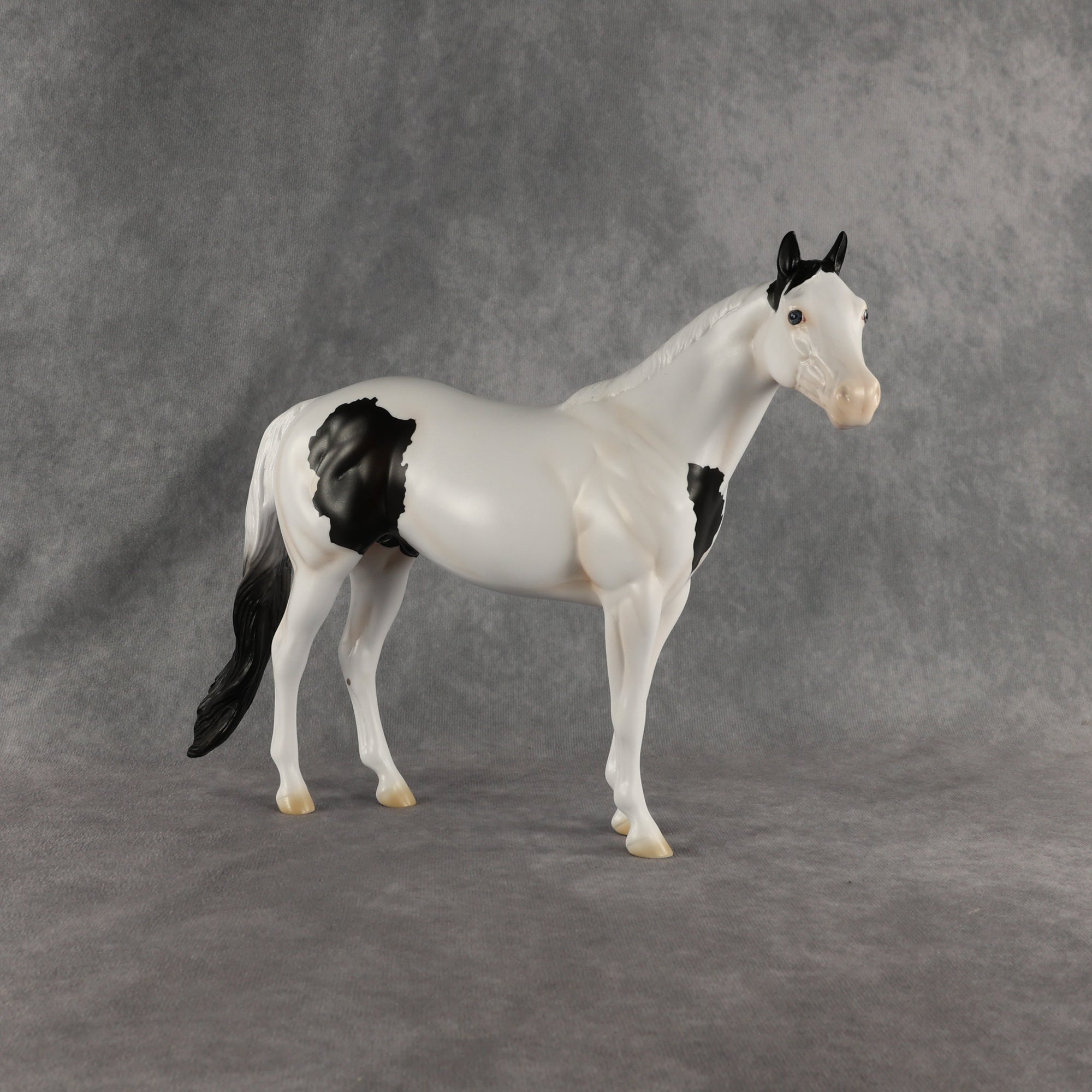 Ocean OOAK Ideal Stock Horse by Madi Wiseman EQ26