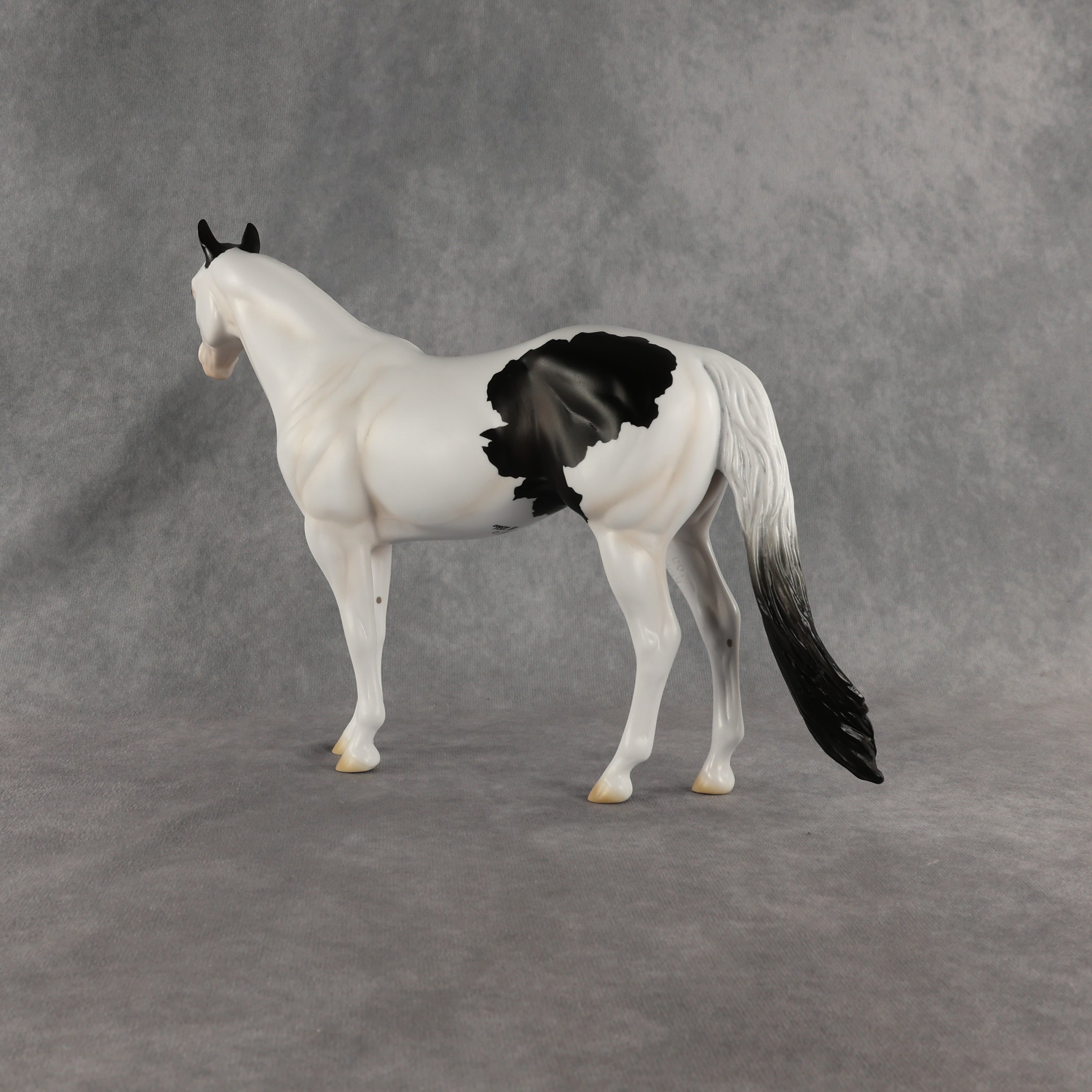 Ocean OOAK Ideal Stock Horse by Madi Wiseman EQ26