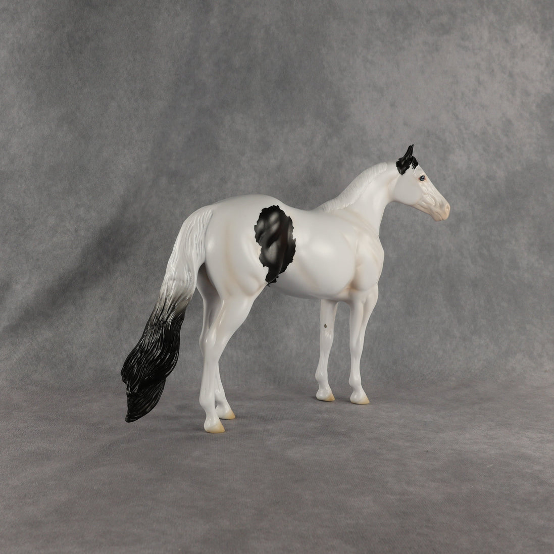 Ocean OOAK Ideal Stock Horse by Madi Wiseman EQ26