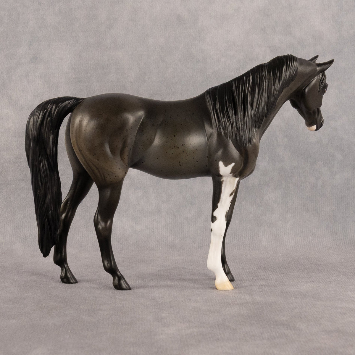 Oceanic Spot OOAK Pebble Arabian Mare by Alex Fortman LHS26