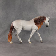 Oceano LE-15 FCM Irish Draught by Ashley Palmer & Melanie Miller EL26