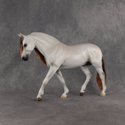 Oceano LE-15 FCM Irish Draught by Ashley Palmer & Melanie Miller EL26