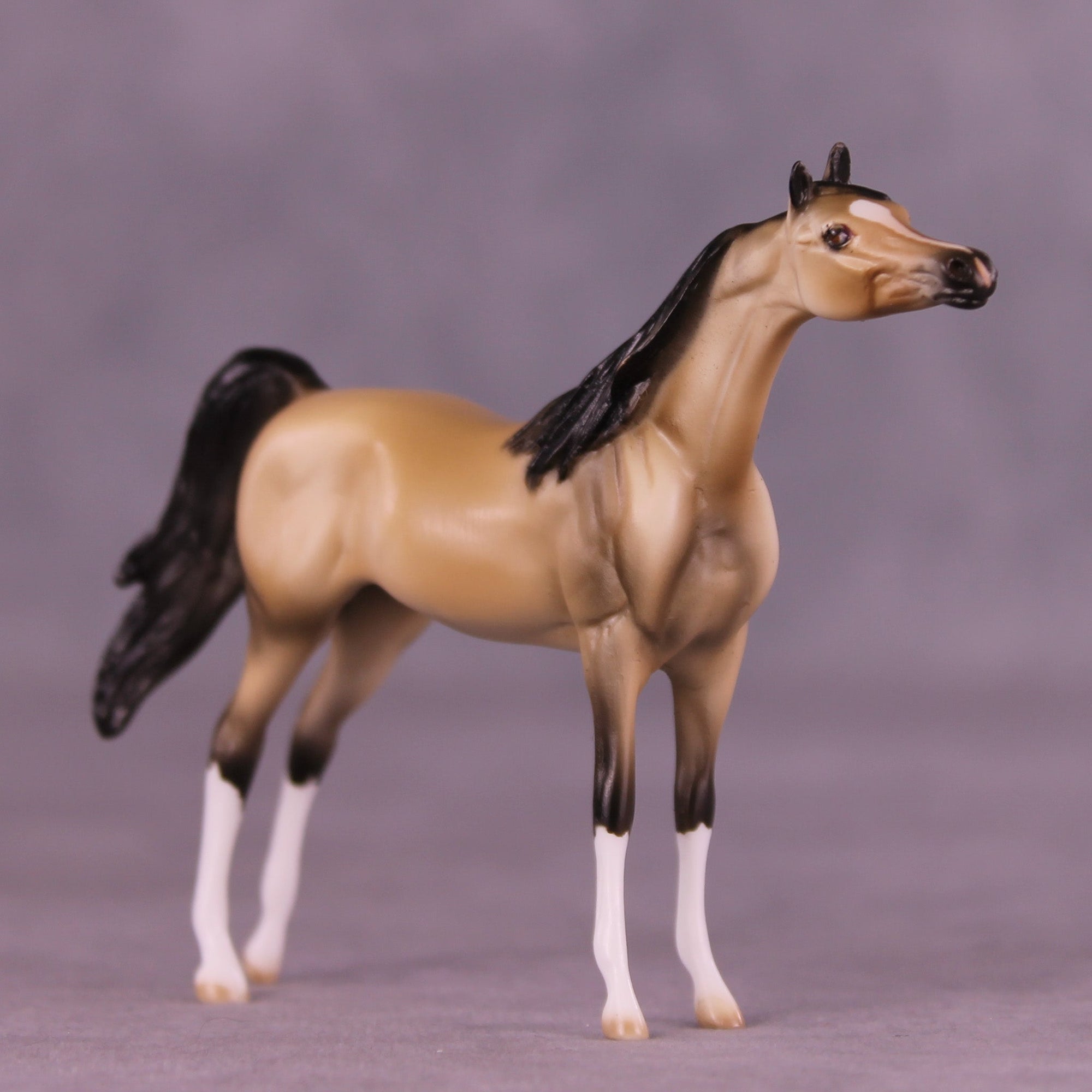 Off the Hook OOAK Chip Arabian by Dawn Quick MM25 Group B