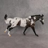Oh, Julian! OOAK FCM Remington by Anna Rieck DDOOAKs26