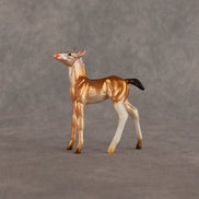 Piebald Fawn OOAK Chip Foal by Alex Fortman EQ26